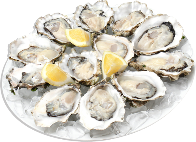 oysters.png